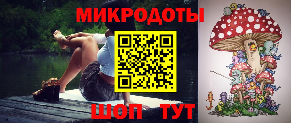 Псилоцибиновые грибы Psilocybine cubensis Керчь