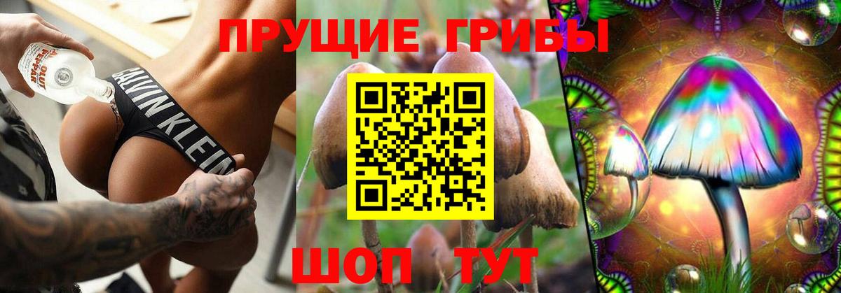 Псилоцибиновые грибы Cubensis  Вход с VPN  Керчь  Псилоцибиновые грибы Cubensis 
